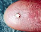 A microchip, smaller than a grain of rice