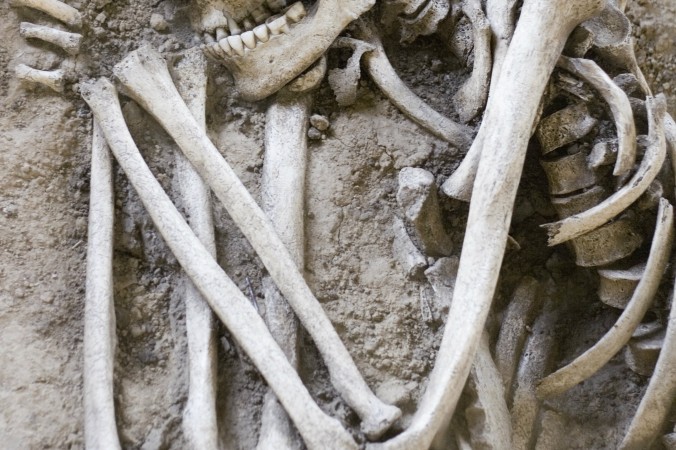 A file photo of a skeleton (Winterling/iStock)